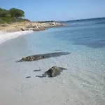 Casa I Falchi * בודוני