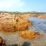 Casa I Falchi * בודוני