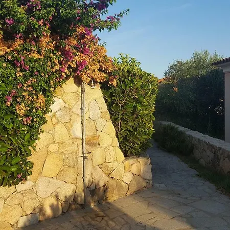 Casa I Falchi בודוני