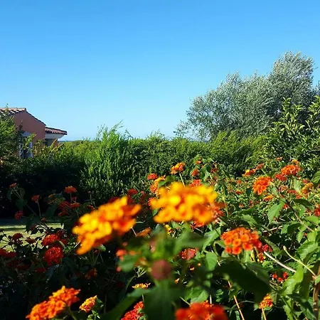 Casa I Falchi Ferienhaus *