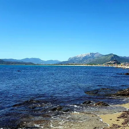 Casa I Falchi Vakantiehuis