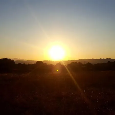 Casa vacanze Casa I Falchi Budoni