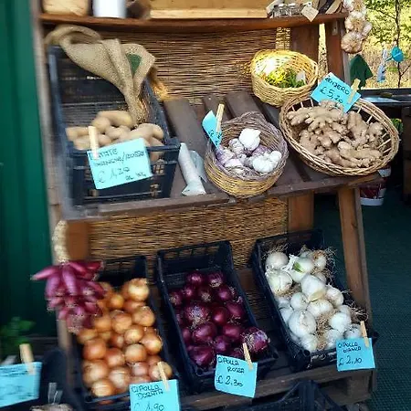 Casa I Falchi Budoni